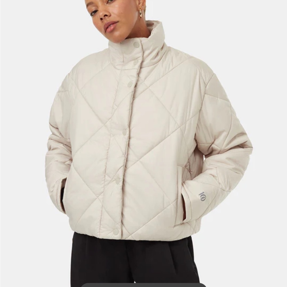 Tentree puffer jacket